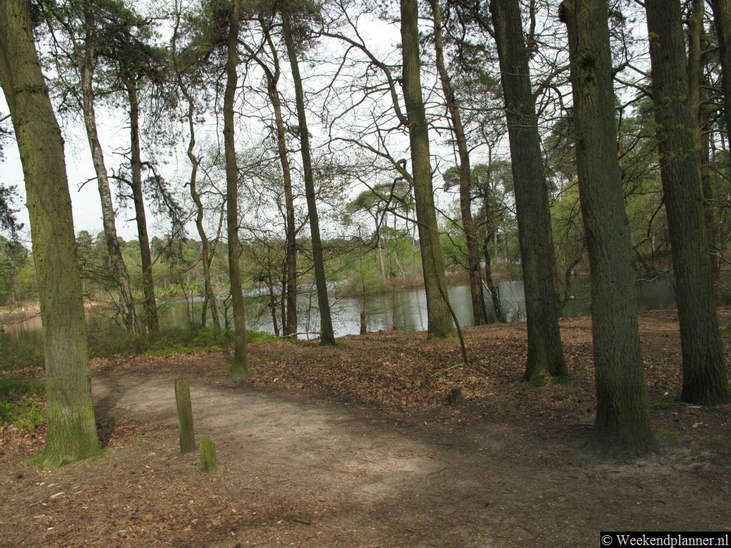 De 14 Vennenroute is een 10 km lange wandelroute langs 14  vennen. Bij recreatiebedrijf Piet Plezier kun je deze wandelroute gratis krijgen. Tips: Wandelroutes door de bossen.